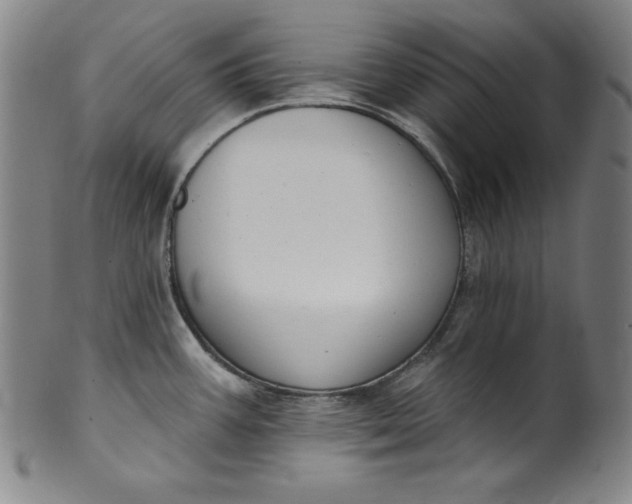 X0000099971387200806061619