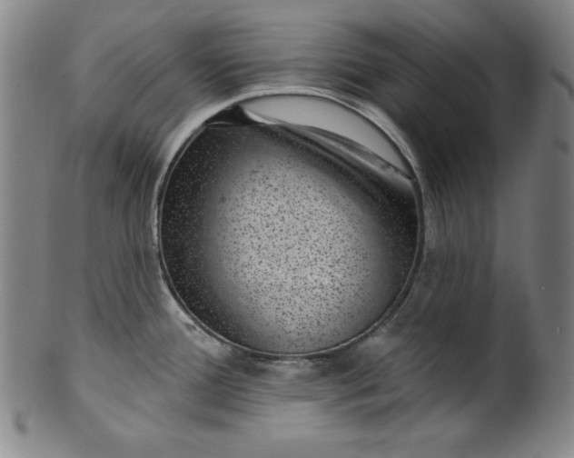 X0000099971388200806061619