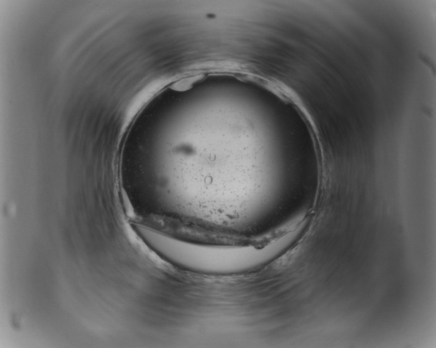 X0000099971389200806061619