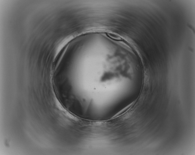 X0000099971390200806061619