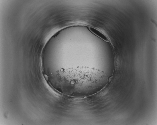 X0000099971391200806061619