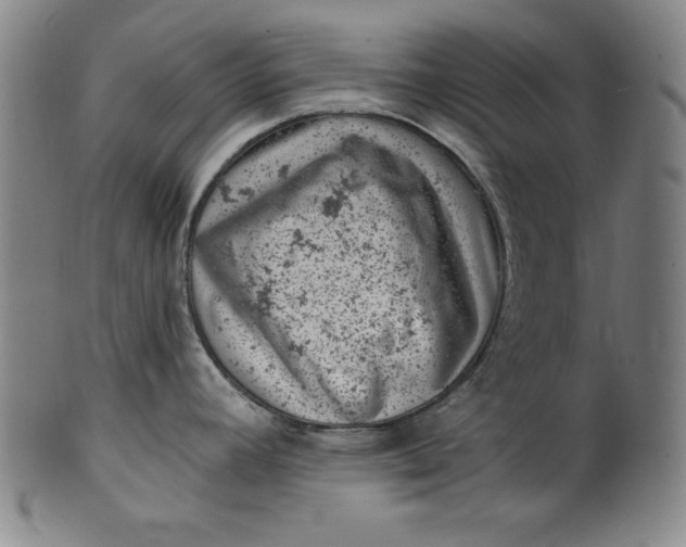 X0000099971392200806061619