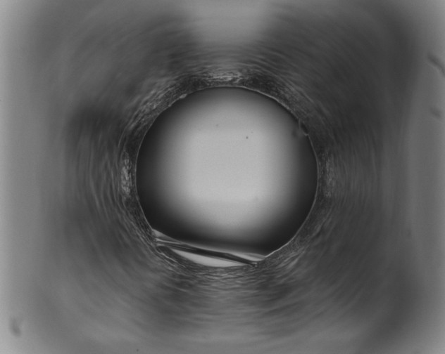 X0000099971394200806061618