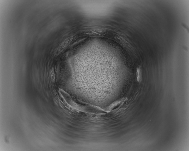 X0000099971395200806061618