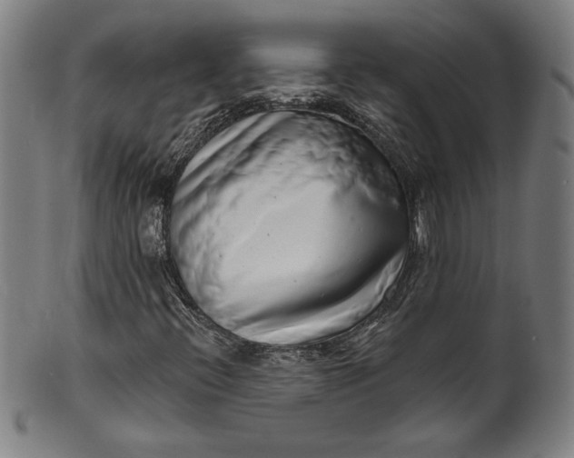 X0000099971396200806061618