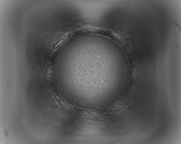 X0000099971397200806061618