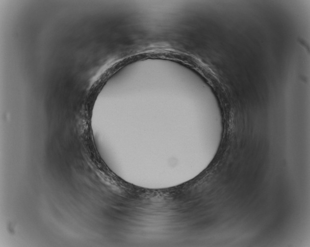 X0000099971400200806061618