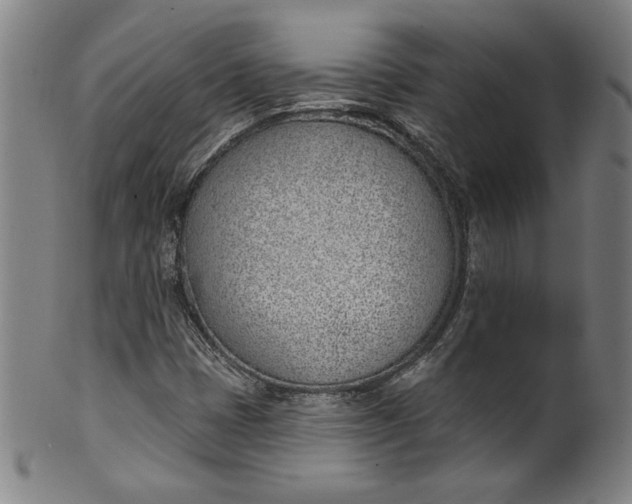 X0000099971401200806061618