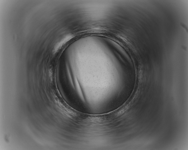 X0000099971402200806061618