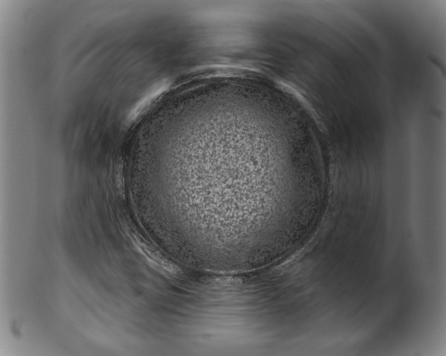 X0000099971403200806061618