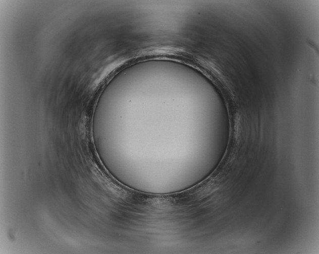 X0000099971404200806061618