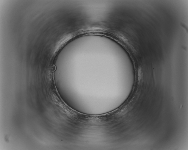 X0000099971405200806061618