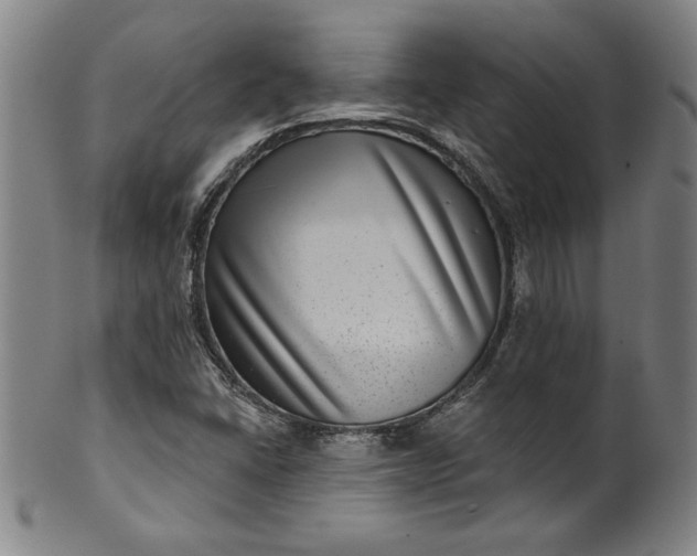 X0000099971406200806061618