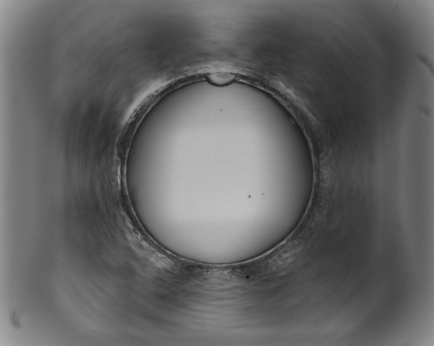 X0000099971408200806061619