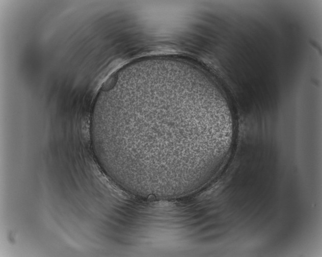 X0000099971409200806061619