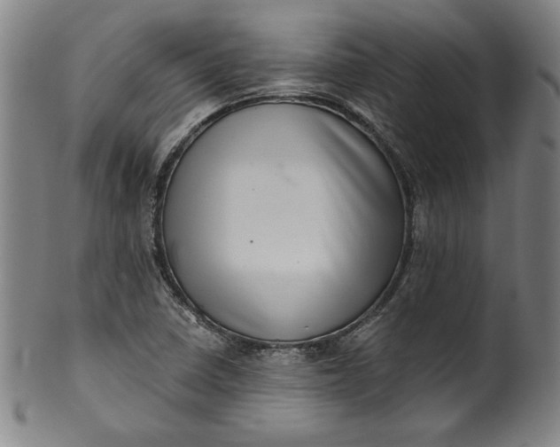 X0000099971410200806061619