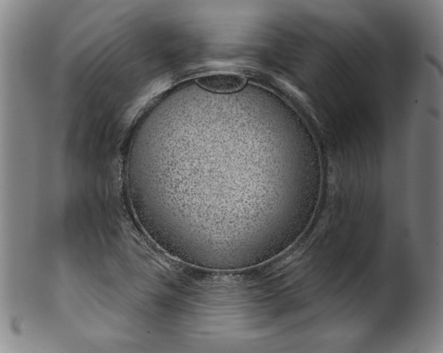 X0000099971411200806061619