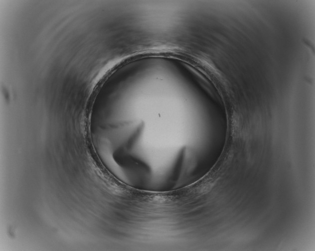 X0000099971412200806061619