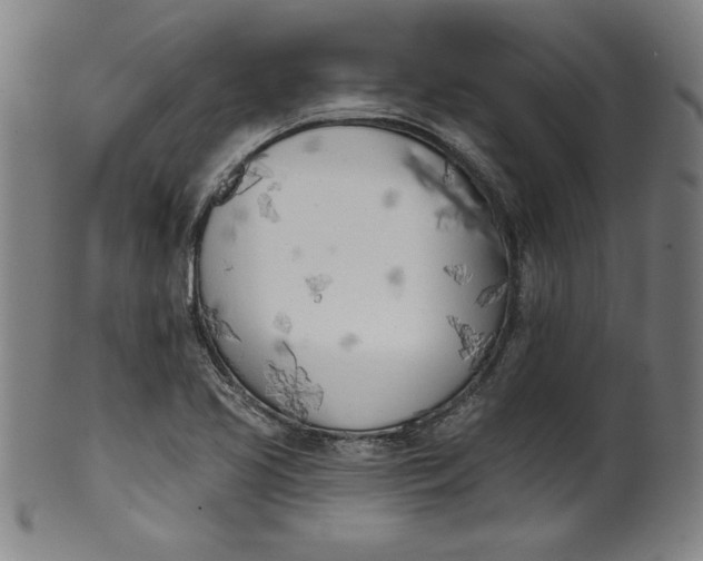 X0000099971413200806061619