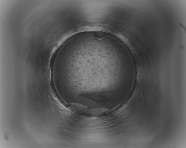 X0000099971414200806061619