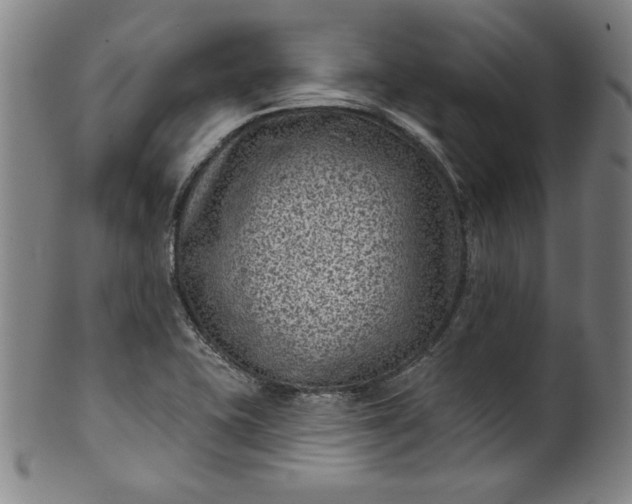 X0000099971415200806061619