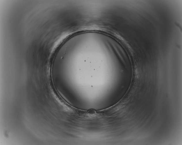 X0000099971416200806061619