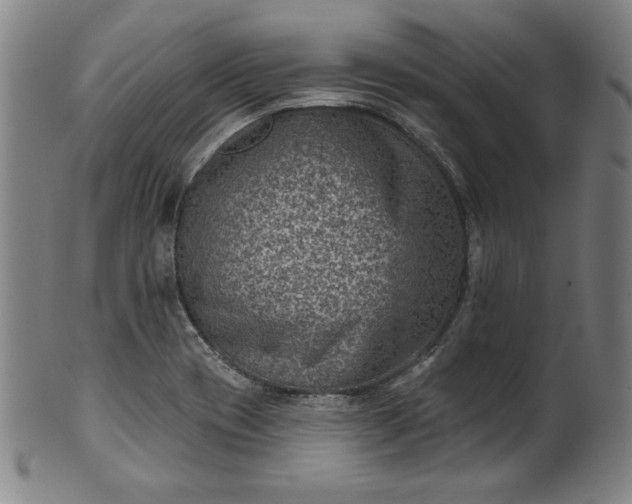 X0000099971417200806061619