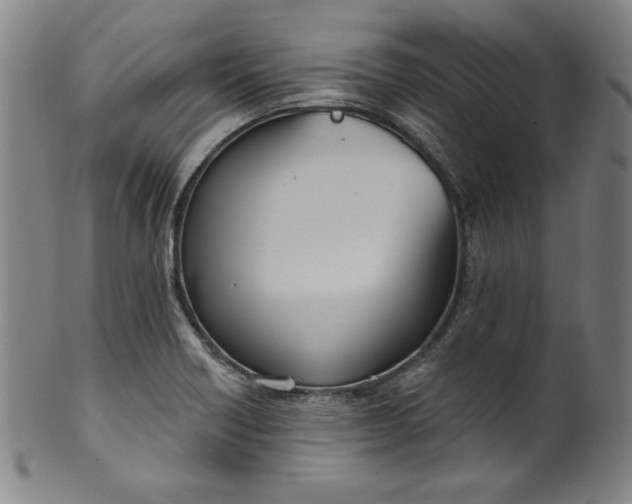 X0000099971418200806061619