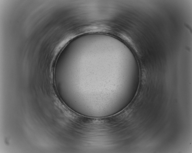 X0000099971419200806061619