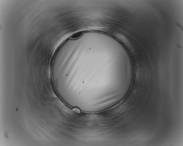 X0000099971420200806061619