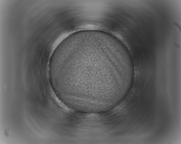 X0000099971421200806061619