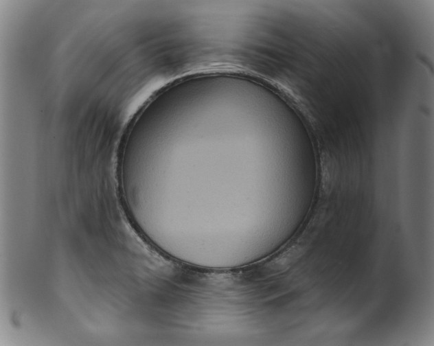 X0000099971422200806061619