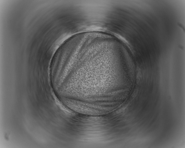 X0000099971423200806061619