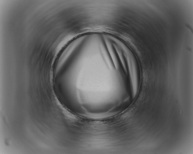 X0000099971424200806061619