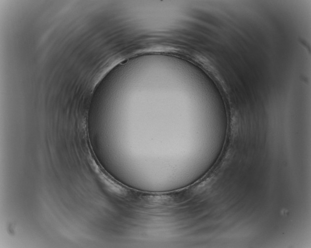 X0000099971425200806061619