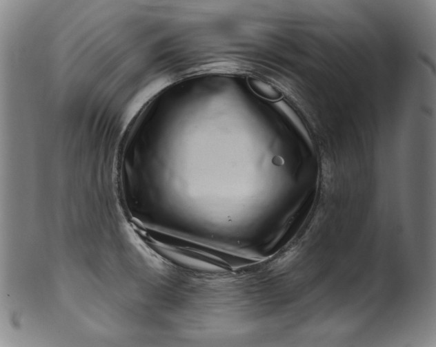 X0000099971426200806061619