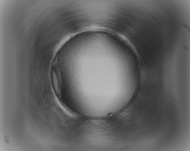 X0000099971429200806061619