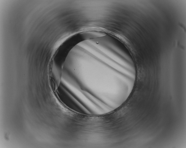 X0000099971430200806061619