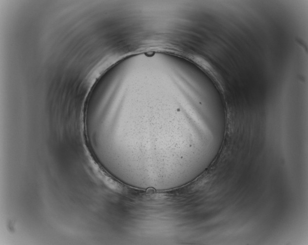 X0000099971431200806061619