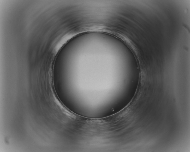 X0000099971432200806061619