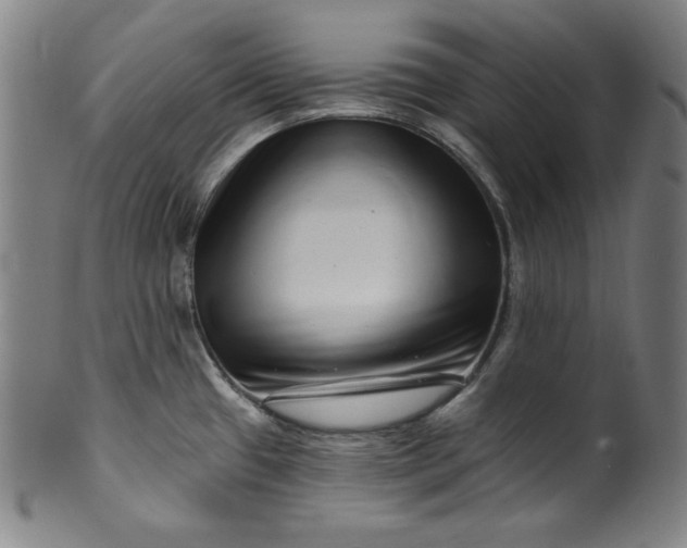 X0000099971433200806061619