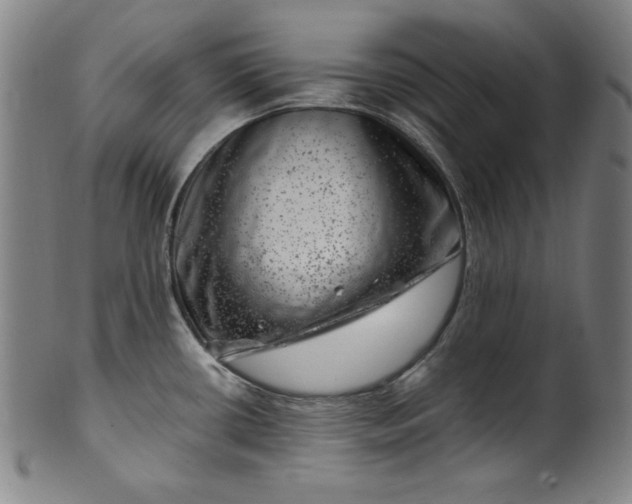 X0000099971434200806061619