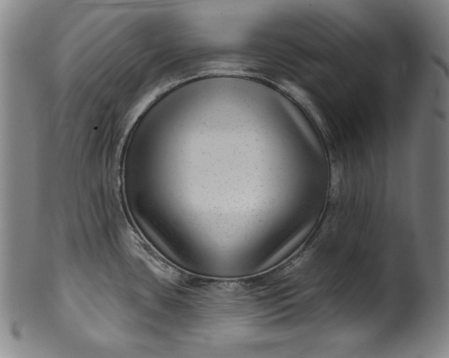 X0000099971435200806061619