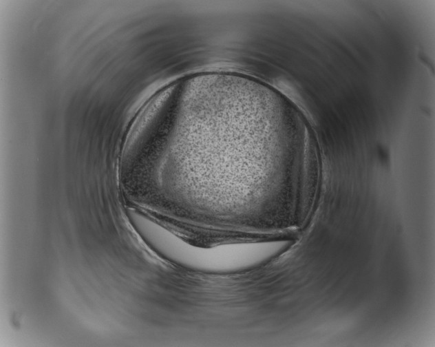 X0000099971436200806061619