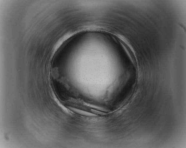 X0000099971437200806061619