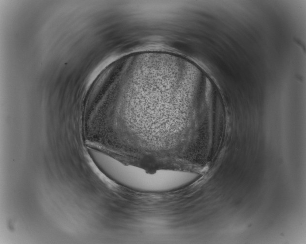 X0000099971438200806061619