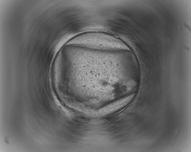 X0000099971440200806061619