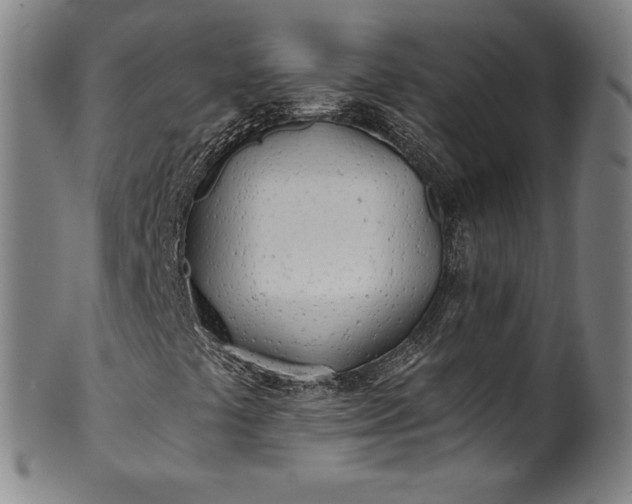 X0000099971441200806061618