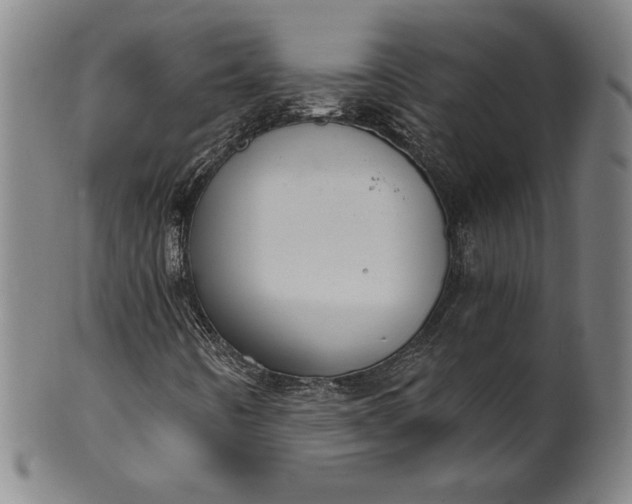 X0000099971442200806061618