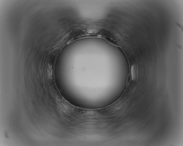 X0000099971443200806061618